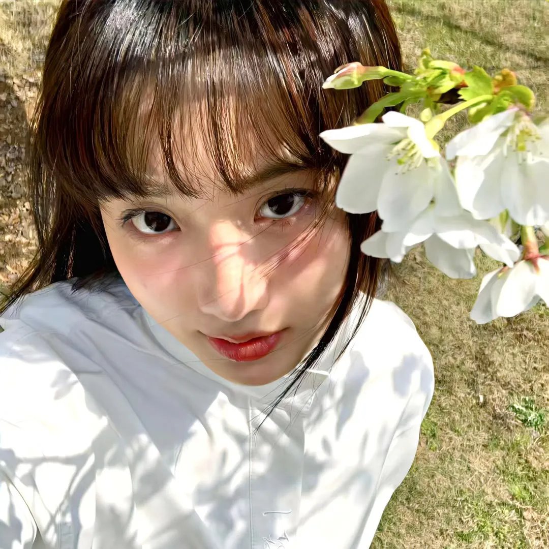 芝加哥烈焰第九季